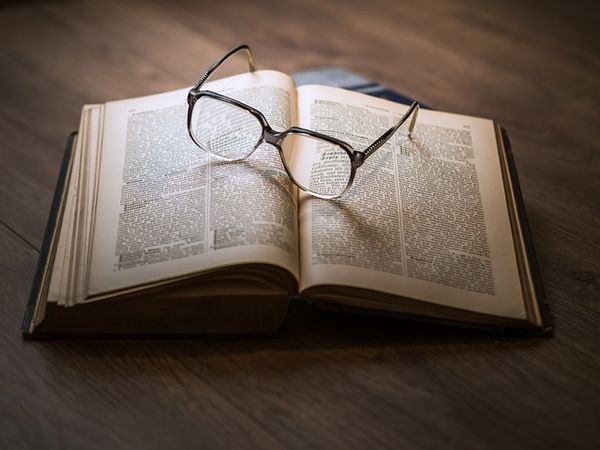 Wykorzystanie nauki o mózgu w procesie nauczania: jak hodować małego Einsteina?